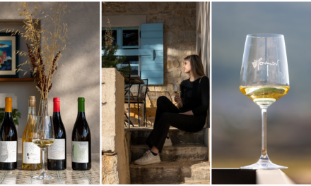 Šarmantna vinarija na Korčuli koju želimo posjetiti ovog ljeta