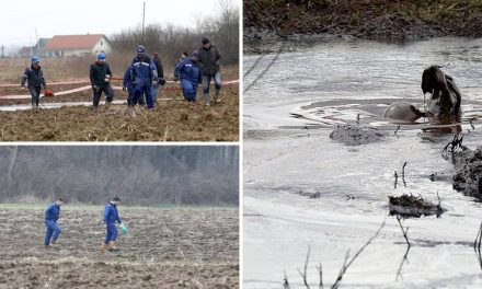 Policija: Istjecanje nafte kod Ježeva uzrokovala je korozija cijevi.  Traje sanacija zagađenja