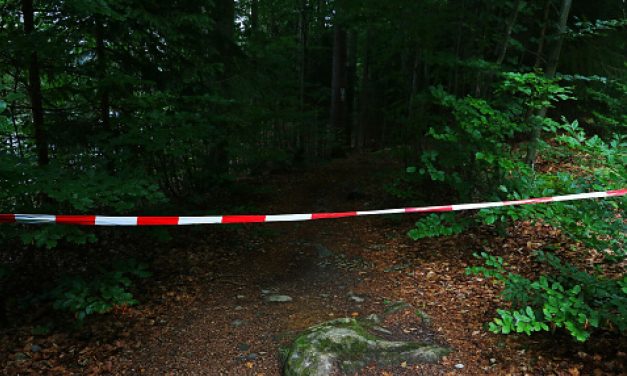 Nestala djevojčica (12) pronađena u šumi, ubijena je: “Šokiran sam onim što smo vidjeli”