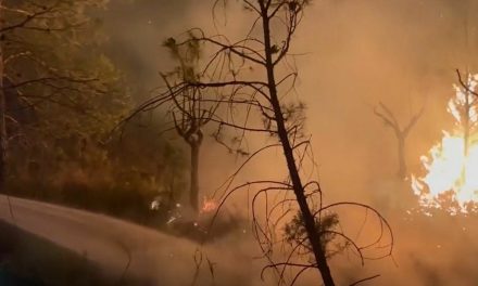 FOTO/VIDEO Vatrena prijetnja u istočnoj Španjolskoj: Vatrogasci se bore s oštrim požarom koji je zahvatio najmanje tisuću hektara