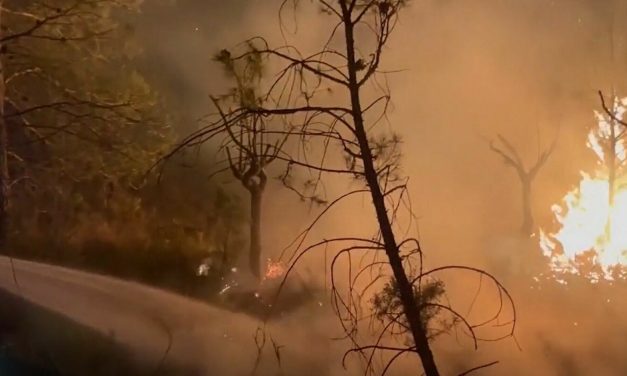 FOTO/VIDEO Vatrena prijetnja u istočnoj Španjolskoj: Vatrogasci se bore s oštrim požarom koji je zahvatio najmanje tisuću hektara