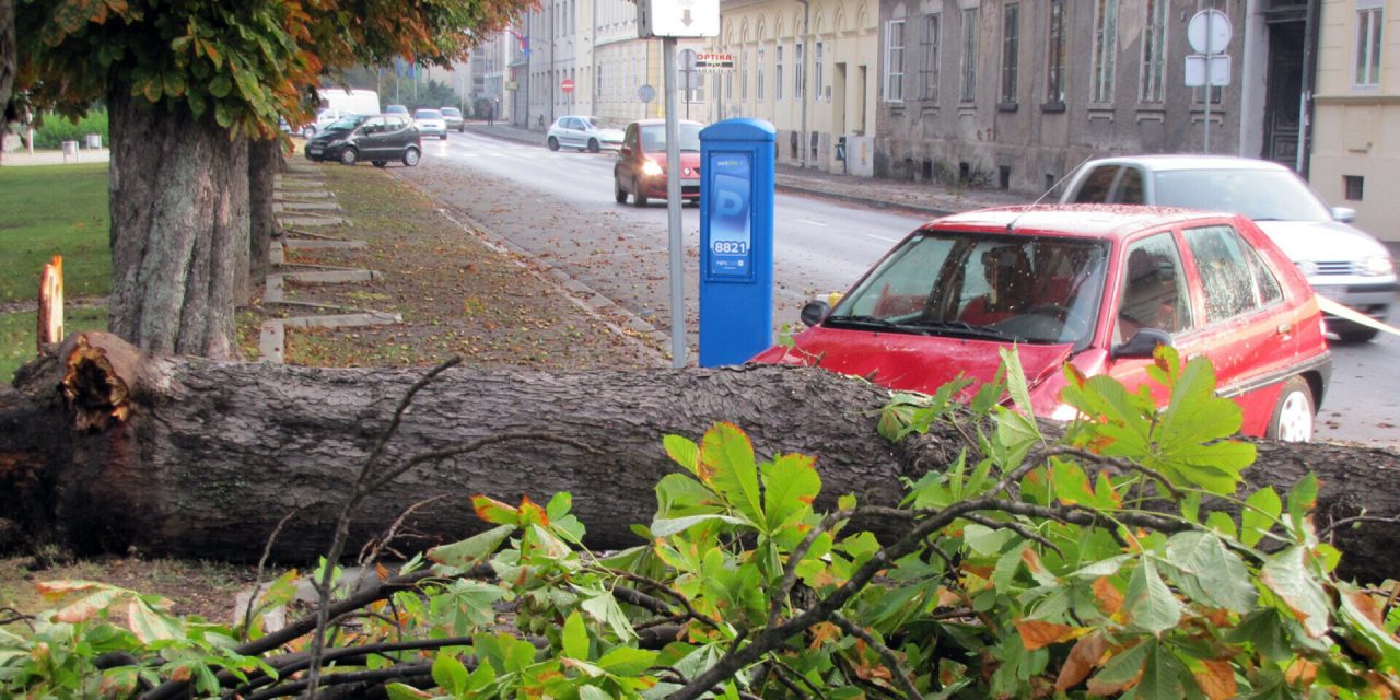 Snažno nevrijeme poharalo Sisak: Srušena stabla, s garaže odletio krov