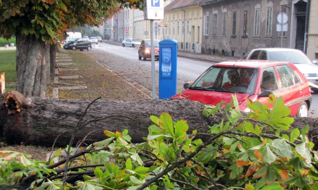 Snažno nevrijeme poharalo Sisak: Srušena stabla, s garaže odletio krov