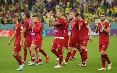 SRBE ŠOKIRAO PIKSI, A ONDA SKORO I SUSJEDI!  Jedan čovjek ga je spasio, a baš ga je zapostavio