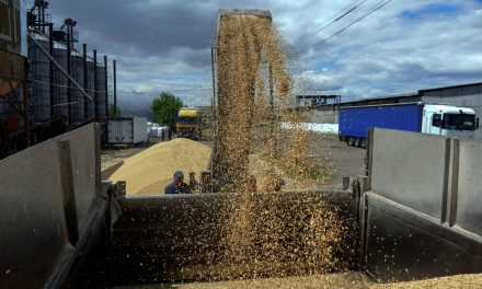 Zbog ukrajinskog žita vrijedi seljačka buna na istoku Europe