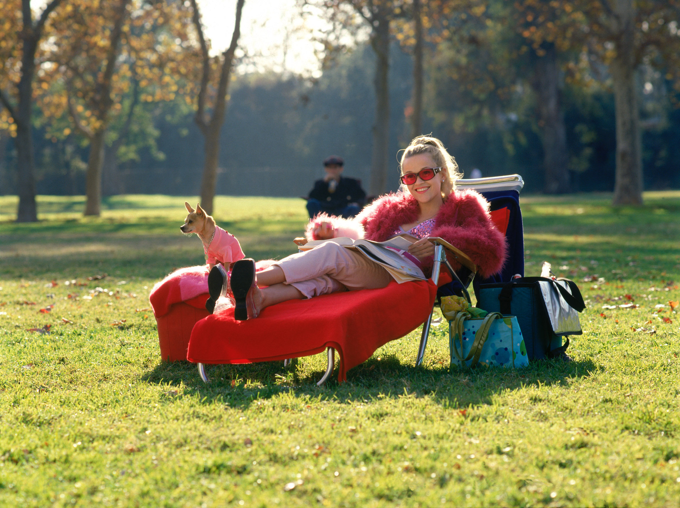 Vraća se Elle Woods!  Ove godine gledamo treći nastavak filma Plavuša s Harvarda