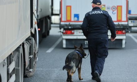 Ako putujete preko granice, za ove stvari u automobilu mogle bi se dobiti 'paprene' kazne