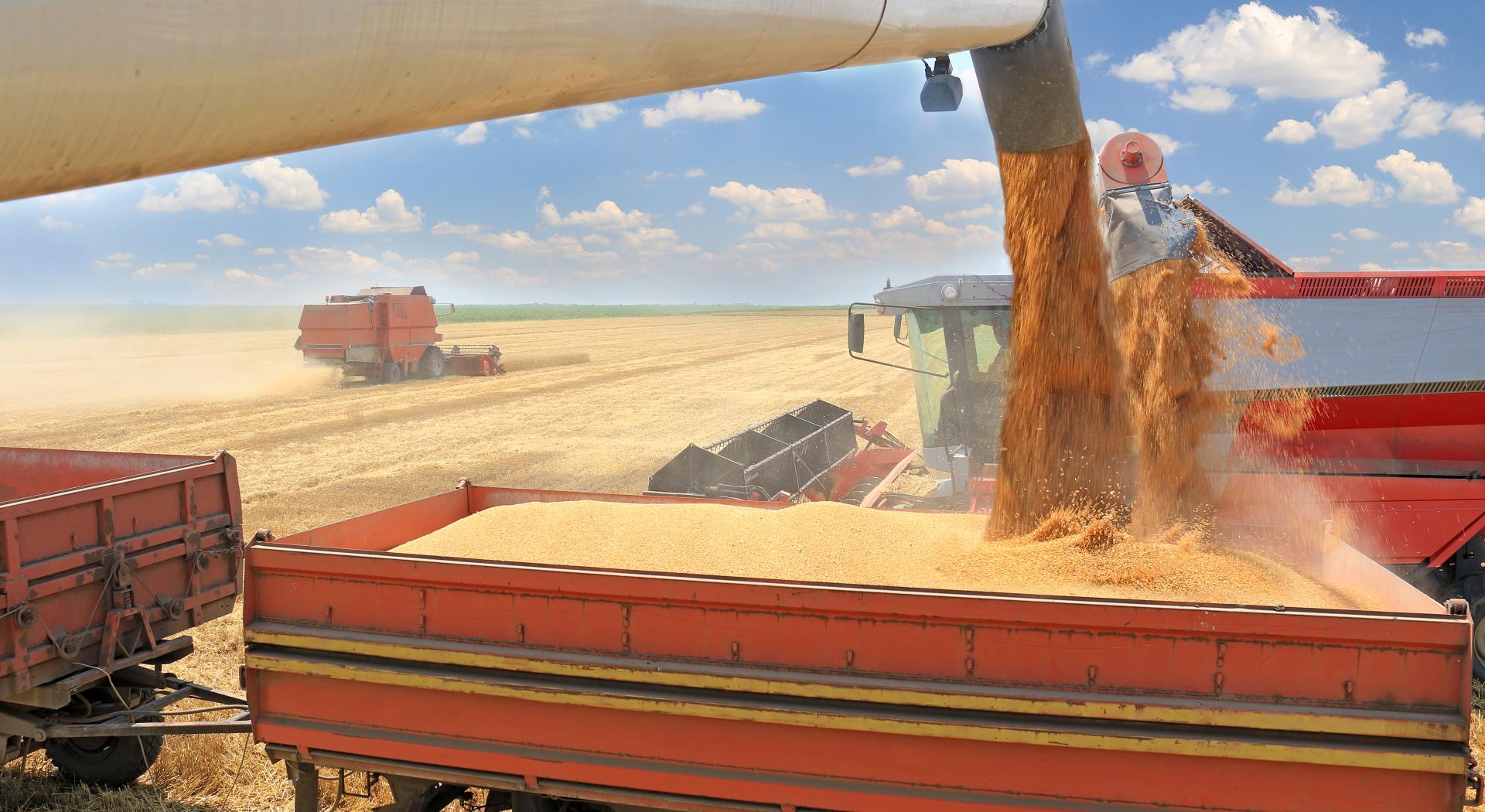Jurišić: Proizvođači žitarica i uljarica moraju razumjeti što je rizik proizvodnje i rizik promjene cijene