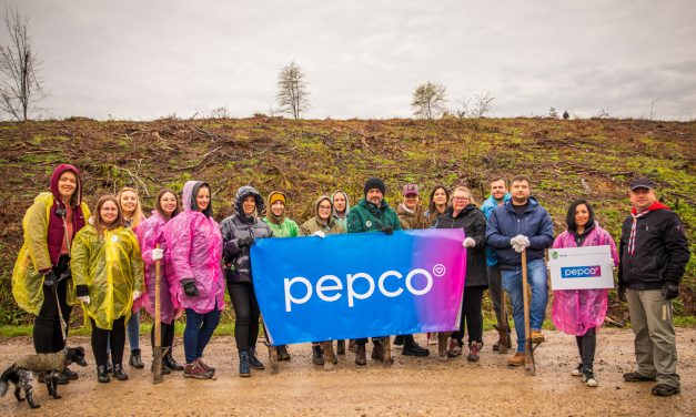 U sklopu kampanje „Svaki otisak boljeg je od ugljičnog” Pepco pošumio Hrvatsku s 3000 novih stabala
