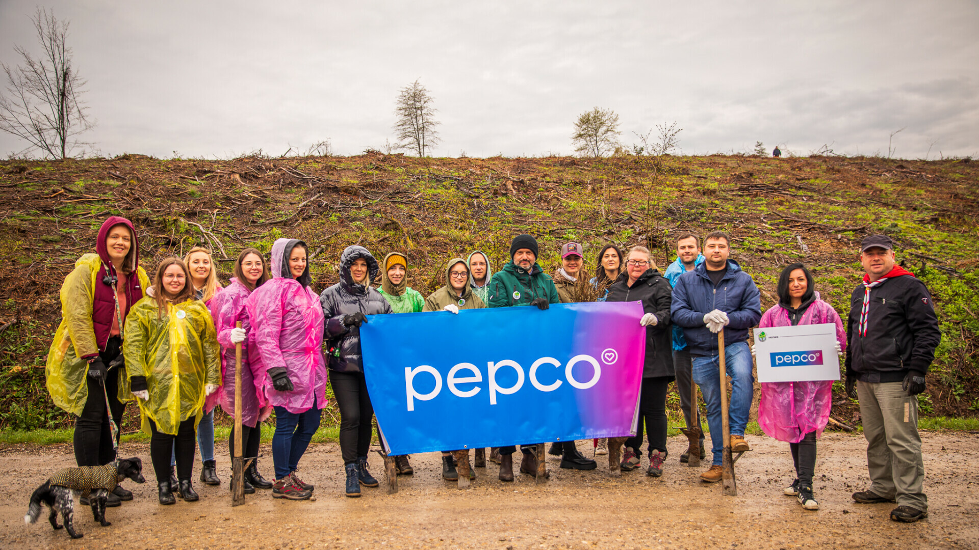 U sklopu kampanje „Svaki otisak boljeg je od ugljičnog” Pepco pošumio Hrvatsku s 3000 novih stabala