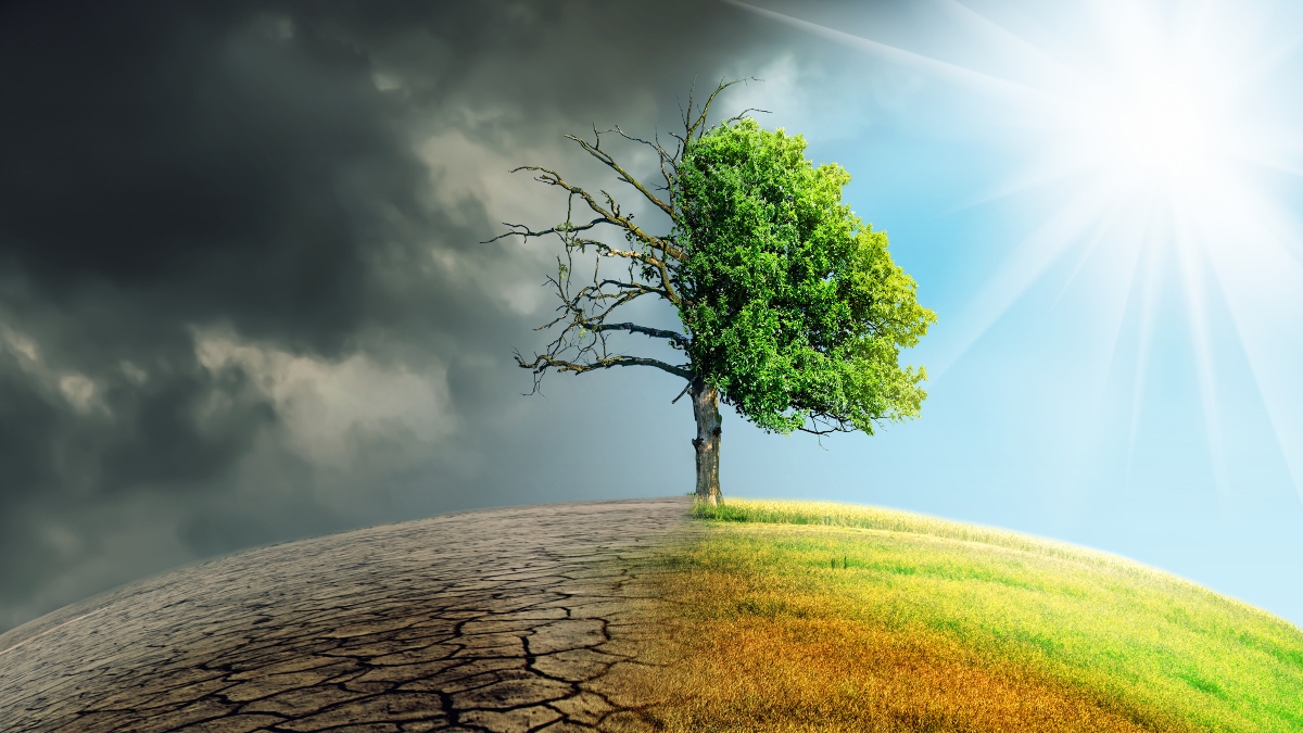 Održivost u fokusu industrije osiguranja u vremenima svih ozbiljnijih posljedica klimatskih promjena