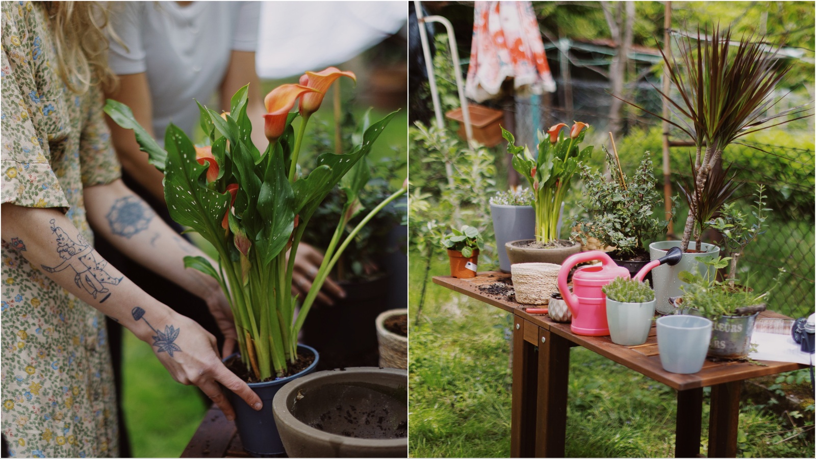 Vrijeme je za vrtlarenje – donosimo super vodič gdje nabaviti biljke i kako ih presaditi