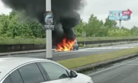 POGLEDAJTE SNIMKU Auto se zapalio na Jankomiru: Nije bilo nikoga unutra.  Nastale su gužve