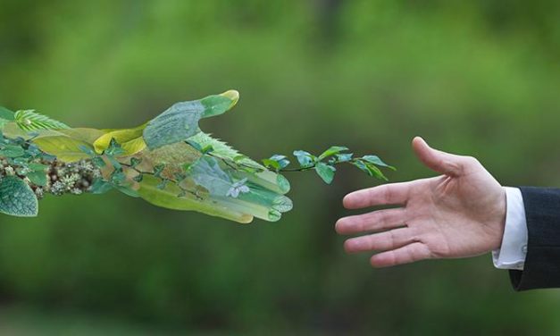 Pomoć pri tranziciji: Francuska vlada predstavlja nacrt zakona za zelenu industriju