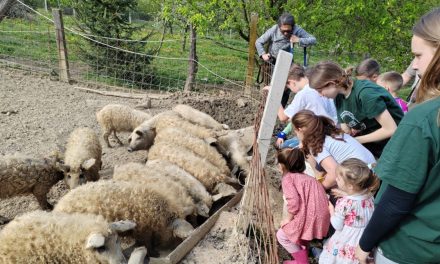 Mangulica je fantastična gastronomska podloga za ruralni turizam