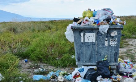 Ovaj dio Hrvatske zahvaća val poskupljenja odvoza smeća, cijene su paprene