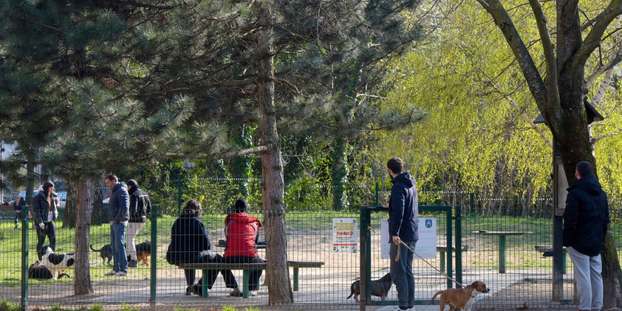 SILOVATELJ PASA KONAČNO UHIĆEN!  Hrvat iz EU parlamenta dolijao: Zoofil mora u zatvor