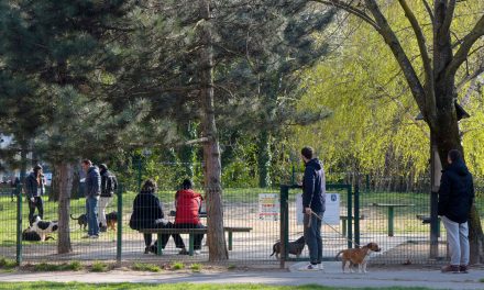 SILOVATELJ PASA KONAČNO UHIĆEN!  Hrvat iz EU parlamenta dolijao: Zoofil mora u zatvor