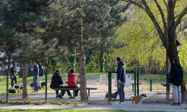 SILOVATELJ PASA KONAČNO UHIĆEN!  Hrvat iz EU parlamenta dolijao: Zoofil mora u zatvor