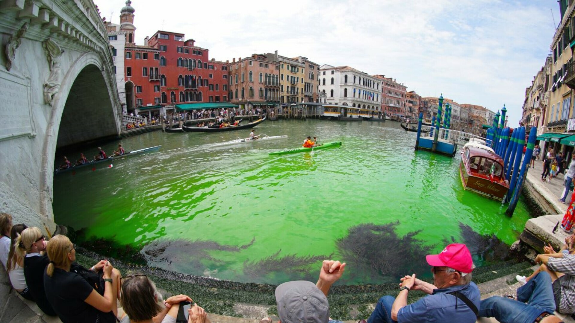 FOTO/VIDEO Fluorescentno zelena voda potekla Venecijom: Sazvan hitan sastanak, sumnja se na jednu stvar