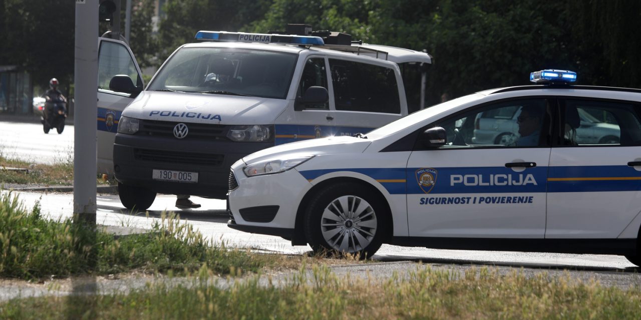 STRPALI MRTVOG MJEDVJEDA U AUTO!  Lovci pokušali nadmudriti carinike, pa se loše proveli