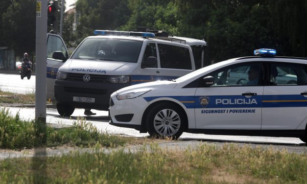 STRPALI MRTVOG MJEDVJEDA U AUTO!  Lovci pokušali nadmudriti carinike, pa se loše proveli