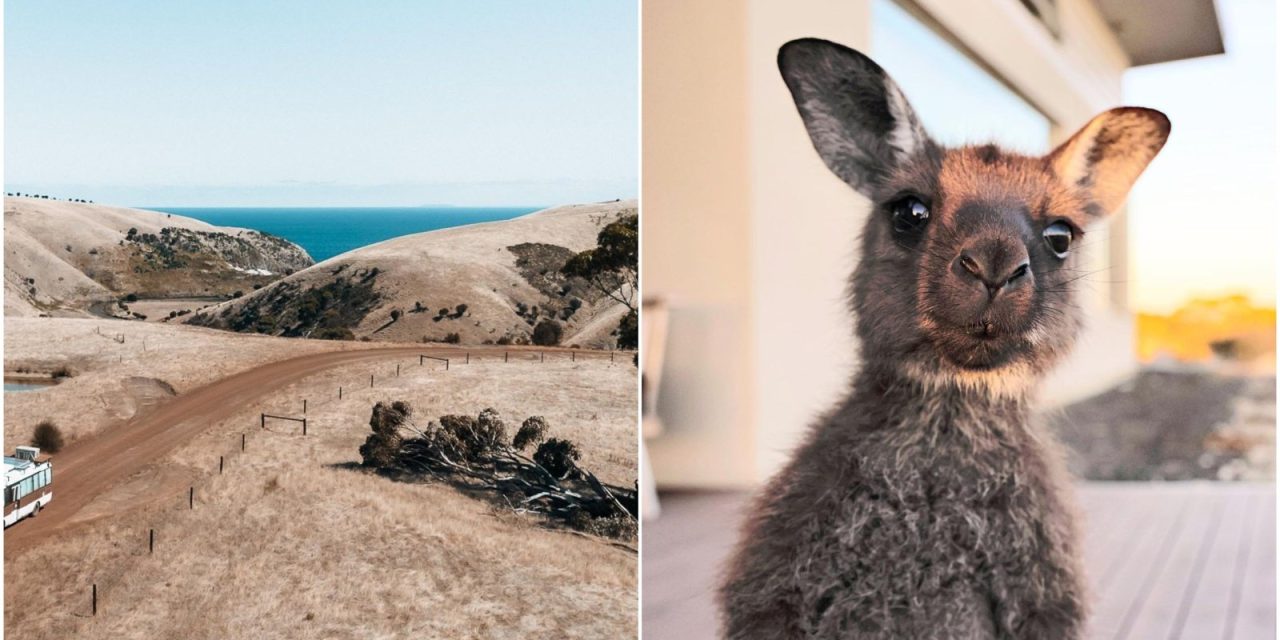 Kangaroo Island: Bajkovito mjesto u Australiji koje je bilo na našoj listi želja