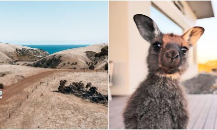 Kangaroo Island: Bajkovito mjesto u Australiji koje je bilo na našoj listi želja