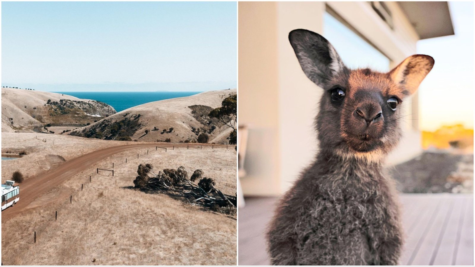 Kangaroo Island: Bajkovito mjesto u Australiji koje je bilo na našoj listi želja
