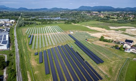 Solida grupa započela je izgradnju prve agrosolarne elektrane