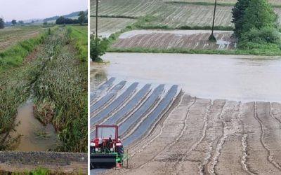 Poplave uništile usjeve u blizini Bjelovara: 'Izgubili smo barem 10.000 eura, ništa ne možemo'