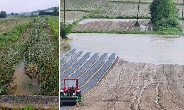 Poplave uništile usjeve u blizini Bjelovara: 'Izgubili smo barem 10.000 eura, ništa ne možemo'