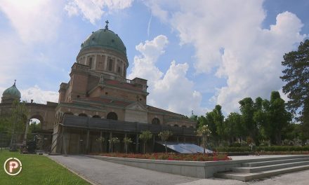 “Bi li baka bila negdje u frižideru?”: Nevjerojatan slučaj preprodaje grobnog mjesta, obitelj ništa nije znala