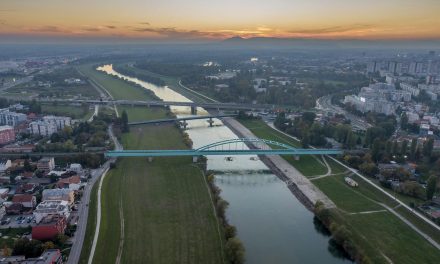 Zagrepčanima prijeti najopasnija životinja na svijetu: Stručnjakinja podijelila savjete kako se zaštiti