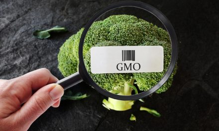 EU zbog klimatskih promjena želi ublažiti GMO ograničenja