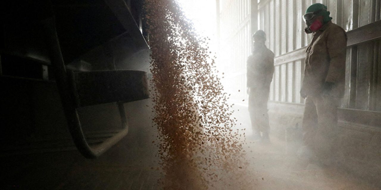Ulazi li GMO hrana na stražnja vrata u europsku poljoprivredu?