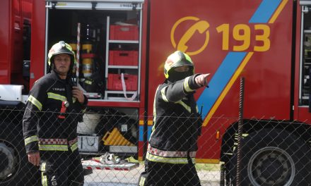 Zmija izazvala pomutnju, u pomoć pohitali vatrogasci iz Zaprešića: Moglo je biti opasno, već su frcale iskre