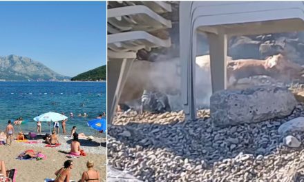 VIDEO Šok na popularnoj jadranskoj plaži: Iza ležaljki postavili ražanj i pekli janje!