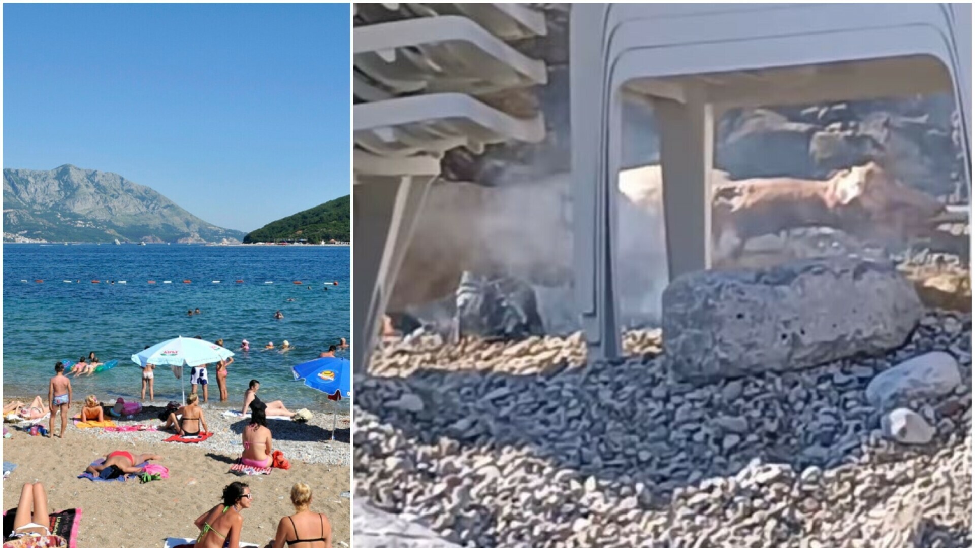 VIDEO Šok na popularnoj jadranskoj plaži: Iza ležaljki postavili ražanj i pekli janje!