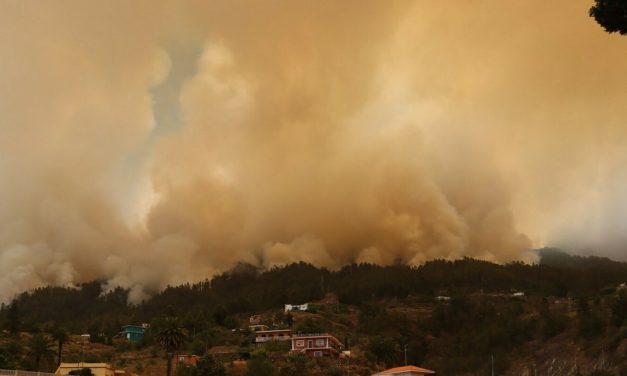 VIDEO “Do sada izgorjelo 2000 hektara”: S požarom gase stotine vatrogasaca, stanovništvo evakuirano
