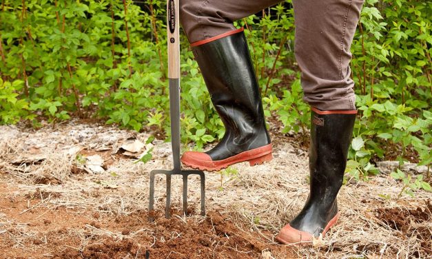 Komisija je Hrvatskoj odobrila 3,3 milijuna eura izvanrednih potpora za poljoprivrednike