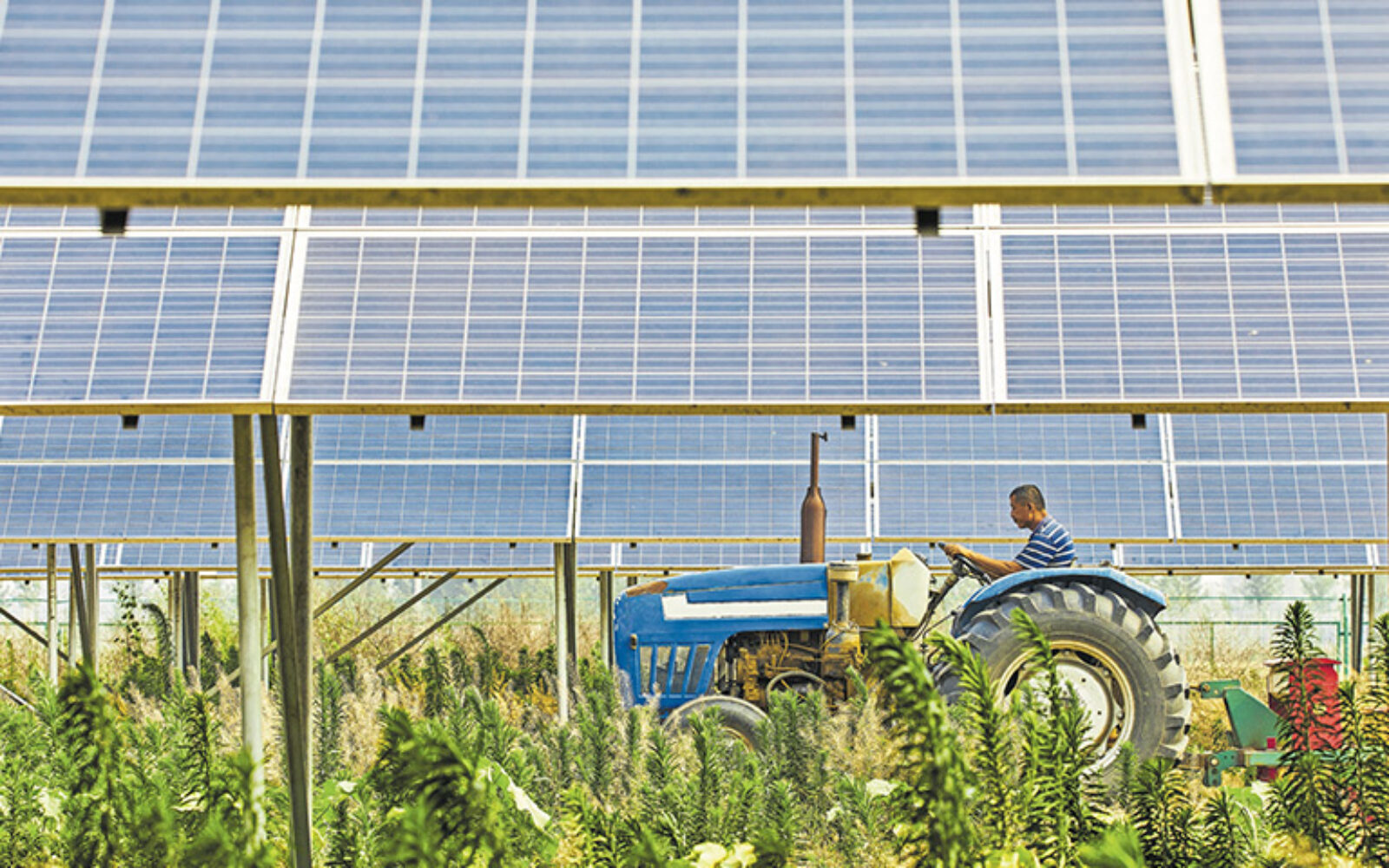 Zelena tranzicija: 223,6 milijuna eura za obnovljive izvore energije u poljoprivredi