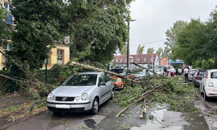 Strašno nevrijeme pogodilo Hrvatsku, poginule su dvije osobe