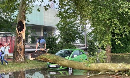 Stručnjaci o pravu na naknadu: Štetu na imovinu prijaviti odmah u roku od tri dana