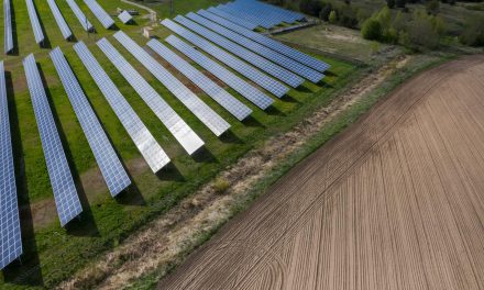 Agrosolari: Idealni za voćnjake, vinograde ili polja za ispašu, štite i od tuče i suše, ali interes je slab