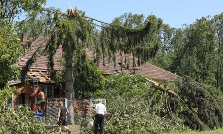 HPK: Hitno je potrebno osigurati pomoć svim poljoprivrednicima pogođenim vremenskim nepogodama, evo što traže