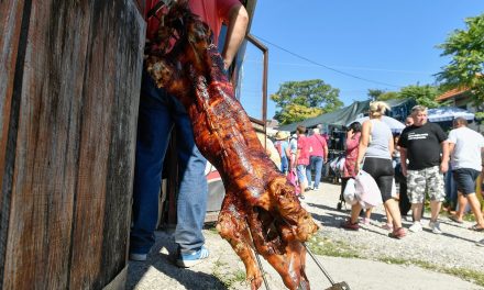 Kao u Srbiji, vegani uništili natjecanje u pečenju praščića: 'Nisu ništa postigli, sve smo ih ispekli i isjekli'