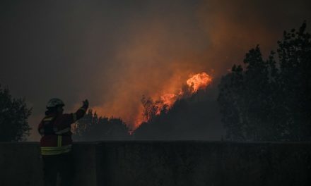 Drama kod popularnog ljetovališta: Stotine vatrogasaca gase požar, očajni ljudi brane kuće kantama s vodom