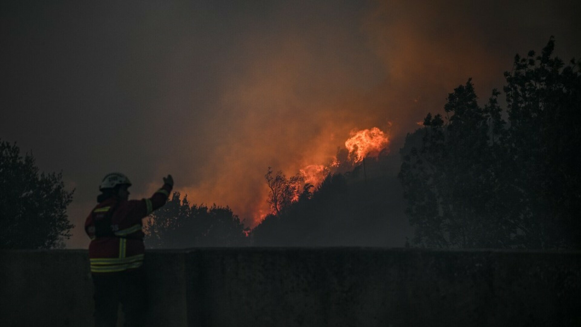 Drama kod popularnog ljetovališta: Stotine vatrogasaca gase požar, očajni ljudi brane kuće kantama s vodom