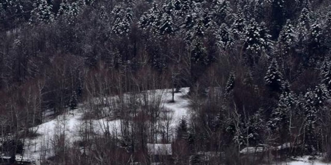 Nećete vjerovati: U Sloveniji je pao snijeg, objavili su i fotografiju